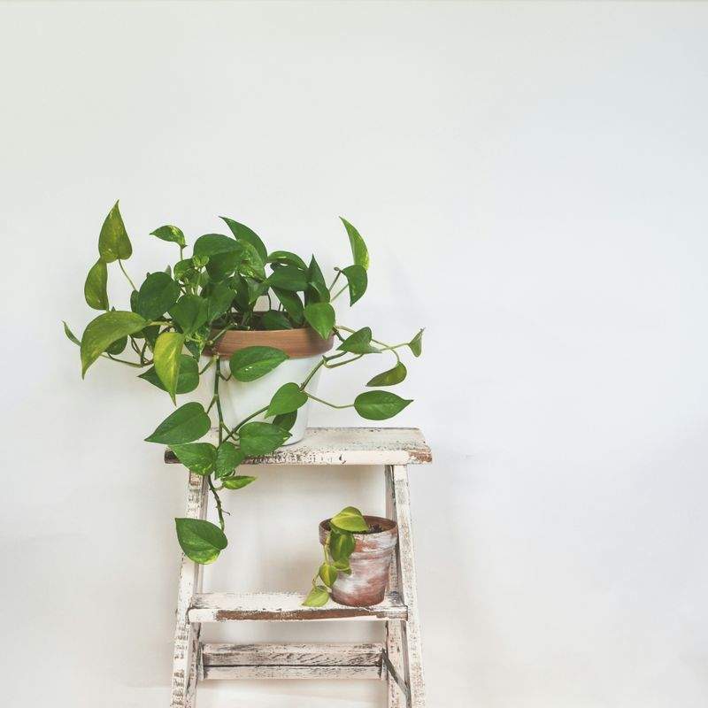 HobbyVerden ApS - Image 4