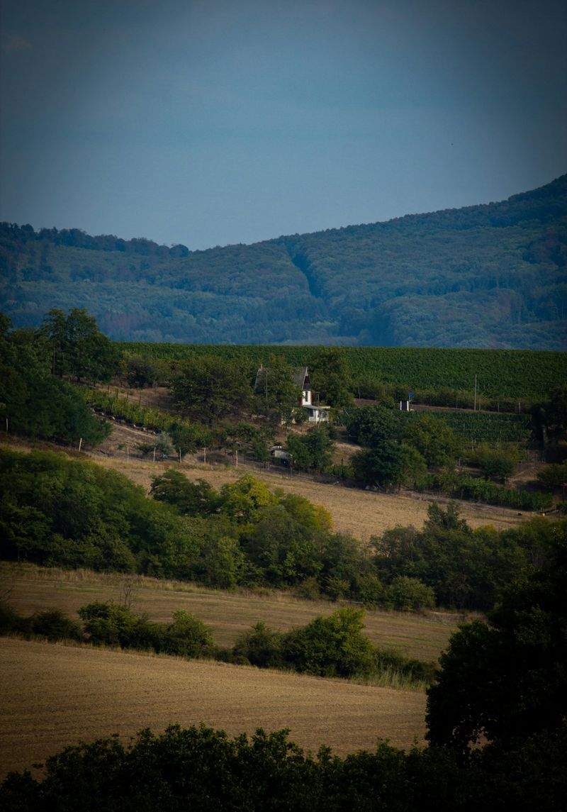 DIY smykkefremstilling